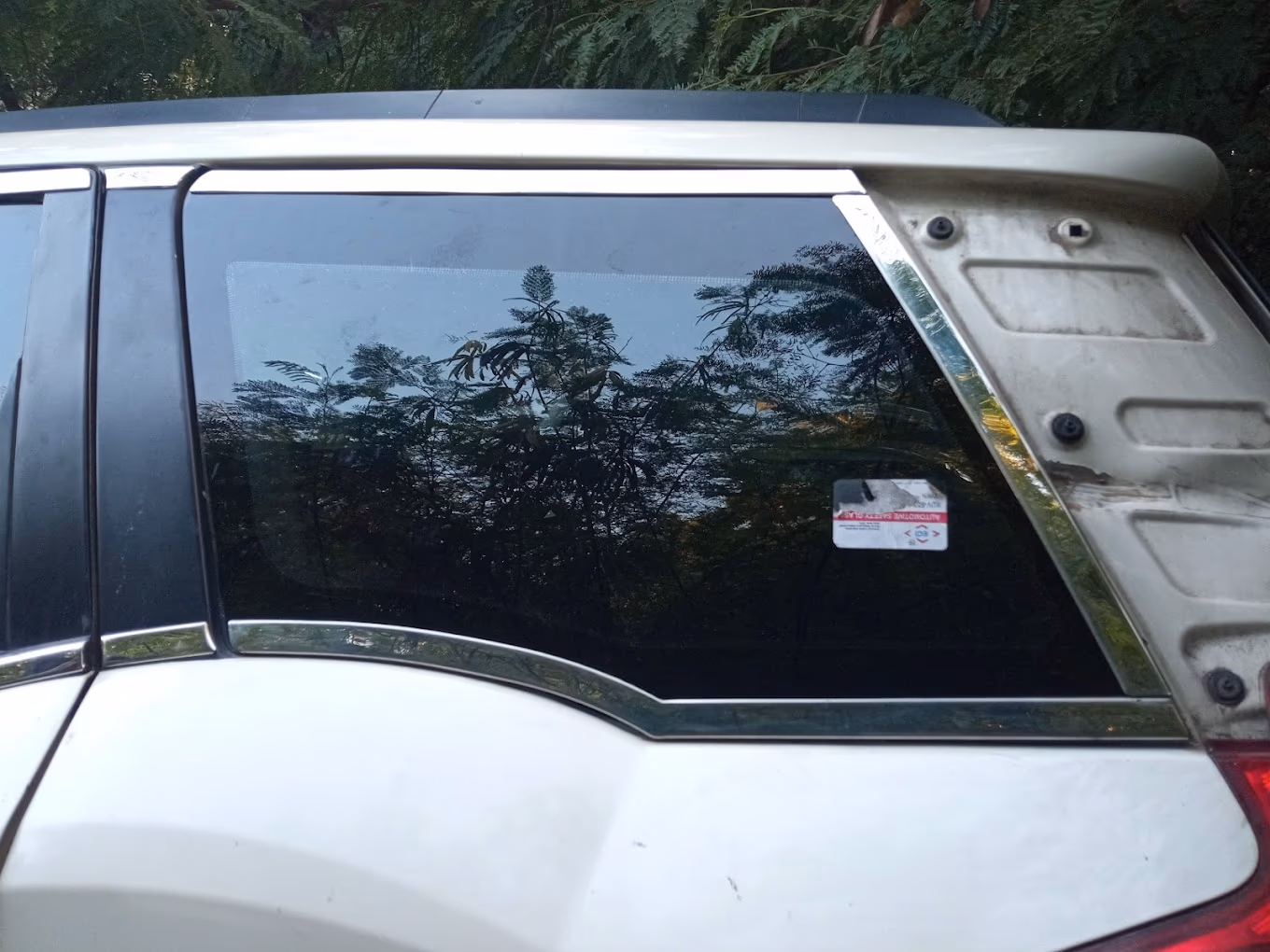 Professional auto glass installation service